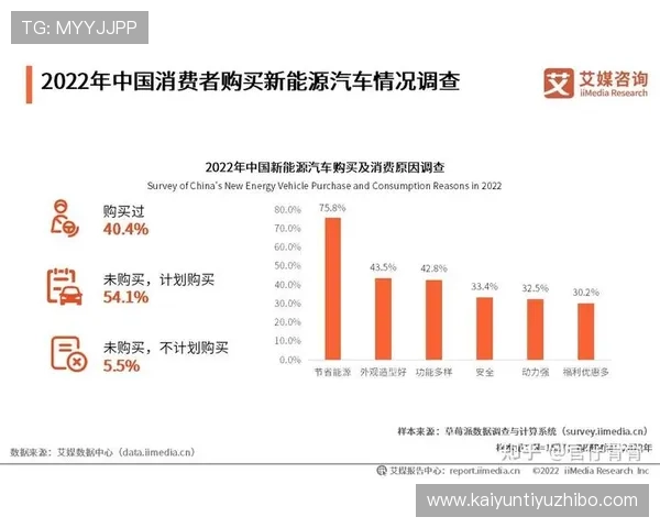 开云中国关网引发的消费者行为变化及其对市场营销策略的启示