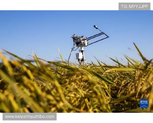 开云体育平台评价：安全性、服务质量与用户满意度深度探讨