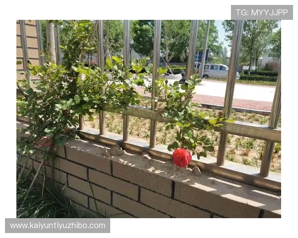 开云在线登录流程详解让新用户快速掌握登录步骤与常见问题解决方案